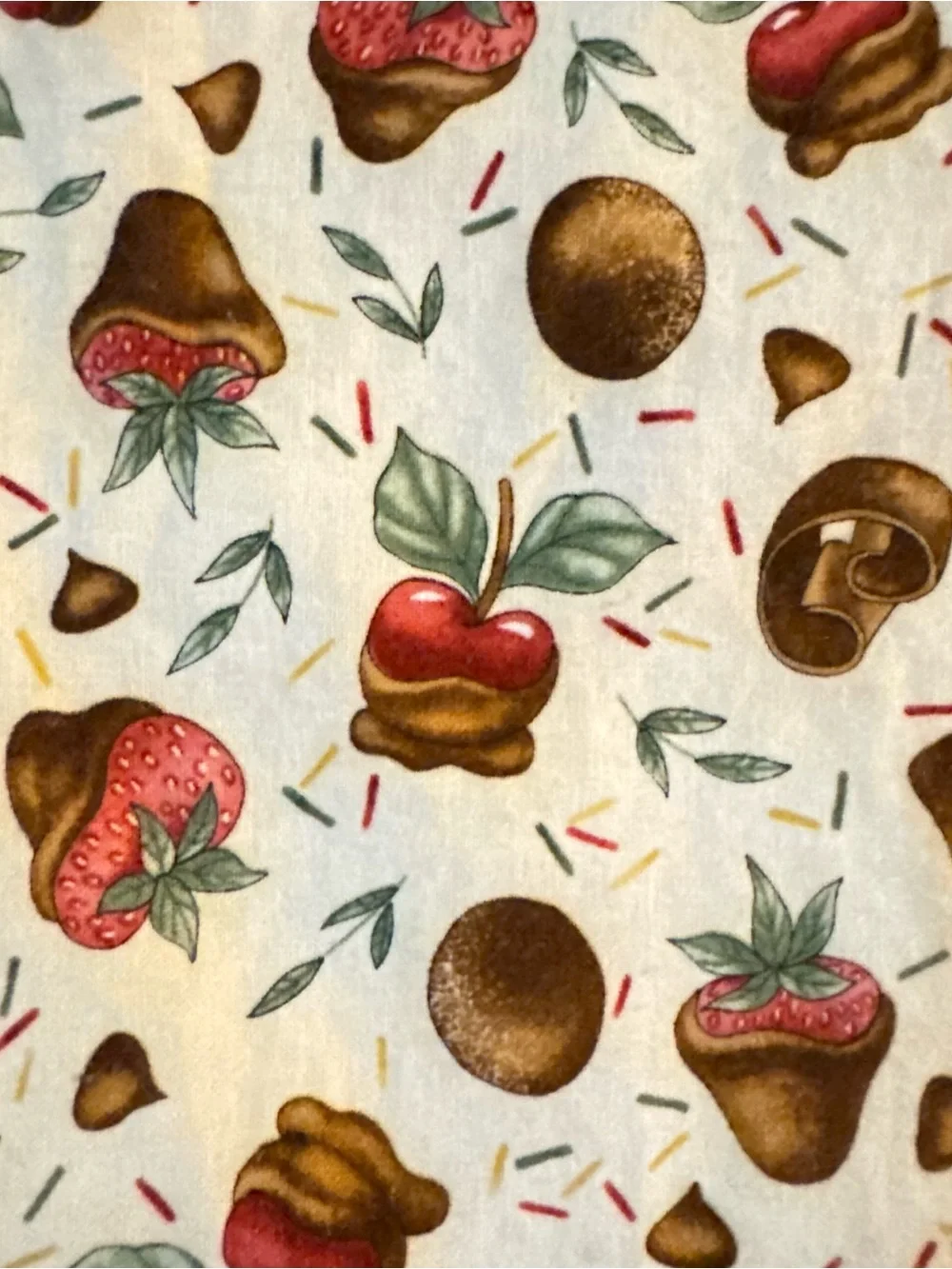 Set of 4 Table Placemats Handmade Dessert/Fall Print Kitchen Decor